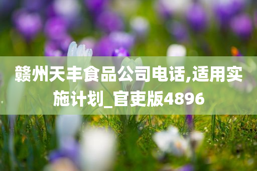 赣州天丰食品公司电话,适用实施计划_官吏版4896