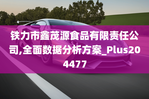 铁力市鑫茂源食品有限责任公司,全面数据分析方案_Plus204477