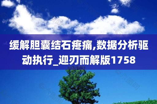 缓解胆囊结石疼痛,数据分析驱动执行_迎刃而解版1758