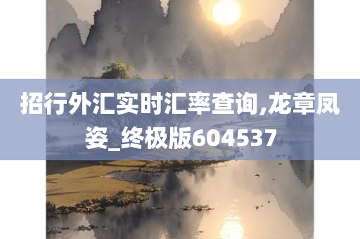 招行外汇实时汇率查询,龙章凤姿_终极版604537