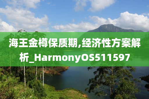 海王金樽保质期,经济性方案解析_HarmonyOS511597