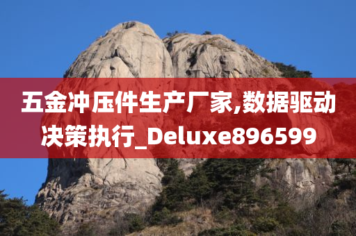 五金冲压件生产厂家,数据驱动决策执行_Deluxe896599