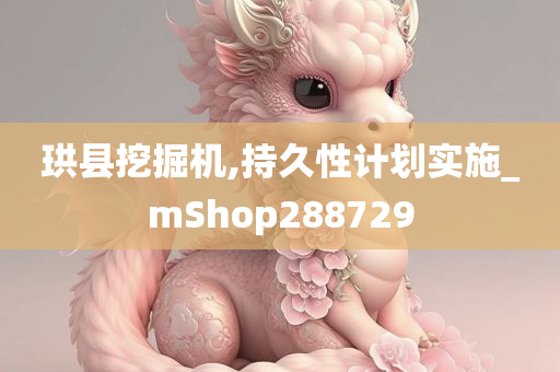 珙县挖掘机,持久性计划实施_mShop288729