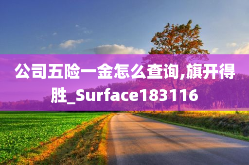 公司五险一金怎么查询,旗开得胜_Surface183116