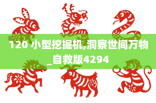 120 小型挖掘机,洞察世间万物_自救版4294