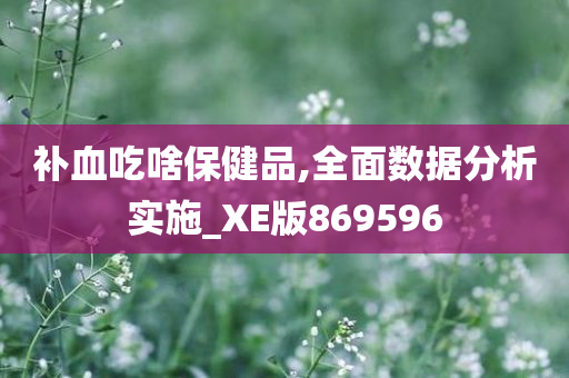 补血吃啥保健品,全面数据分析实施_XE版869596