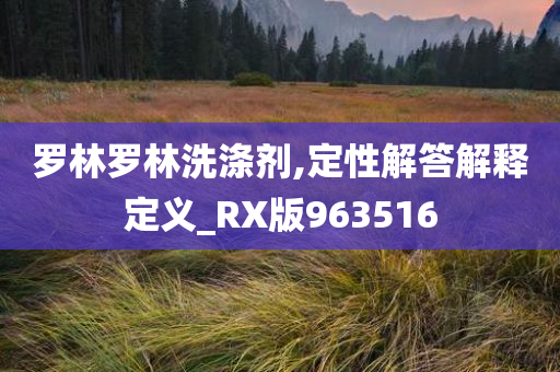 罗林罗林洗涤剂,定性解答解释定义_RX版963516