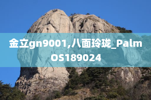 金立gn9001,八面玲珑_PalmOS189024