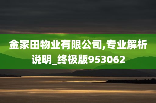 金家田物业有限公司,专业解析说明_终极版953062