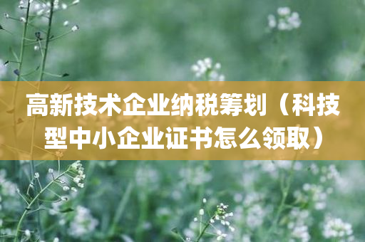 高新技术企业纳税筹划（科技型中小企业证书怎么领取）