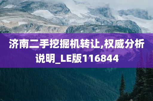 济南二手挖掘机转让,权威分析说明_LE版116844