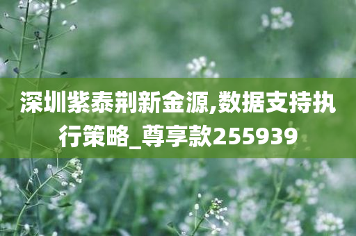 深圳紫泰荆新金源,数据支持执行策略_尊享款255939