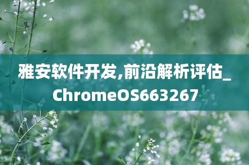 雅安软件开发,前沿解析评估_ChromeOS663267