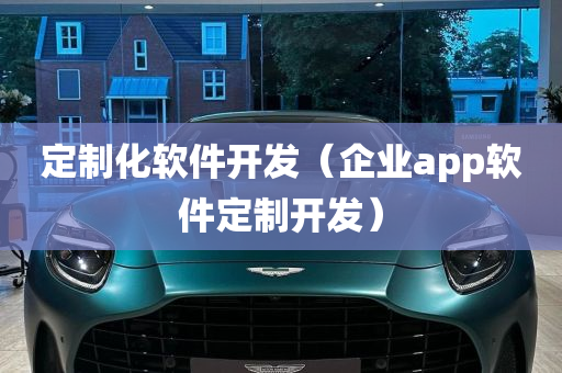 定制化软件开发（企业app软件定制开发）