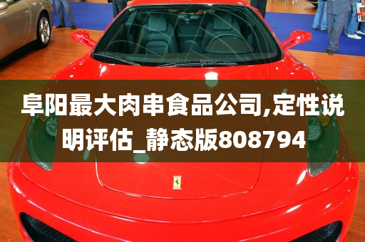 阜阳最大肉串食品公司,定性说明评估_静态版808794