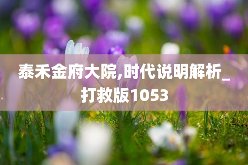 泰禾金府大院,时代说明解析_打救版1053