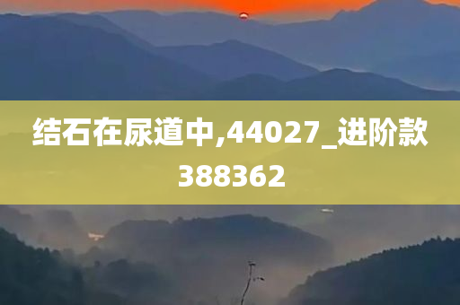 结石在尿道中,44027_进阶款388362