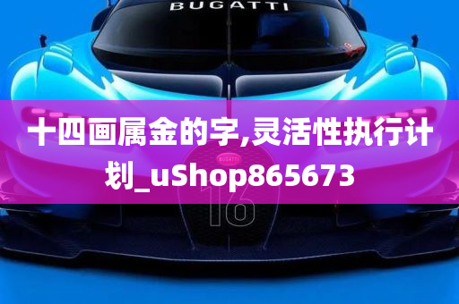 十四画属金的字,灵活性执行计划_uShop865673