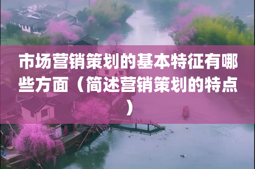 市场营销策划的基本特征有哪些方面（简述营销策划的特点）