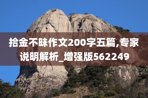 拾金不昧作文200字五篇,专家说明解析_增强版562249