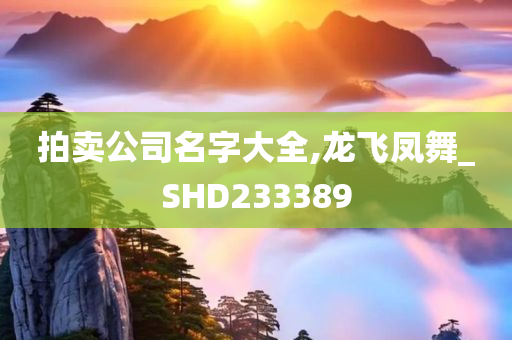 拍卖公司名字大全,龙飞凤舞_SHD233389