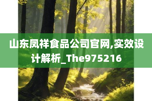 山东凤祥食品公司官网,实效设计解析_The975216