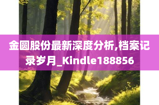 金圆股份最新深度分析,档案记录岁月_Kindle188856