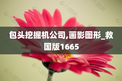 包头挖掘机公司,画影图形_救国版1665