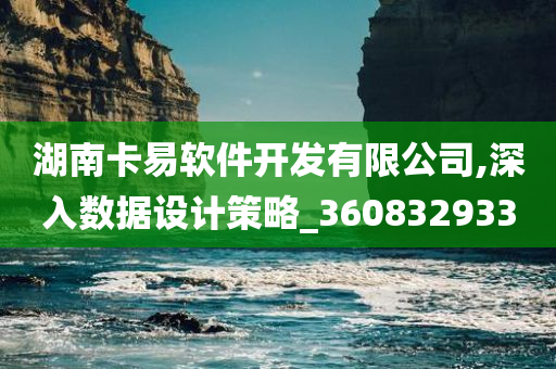 湖南卡易软件开发有限公司,深入数据设计策略_360832933