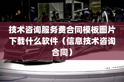 技术咨询服务费合同模板图片下载什么软件（信息技术咨询合同）