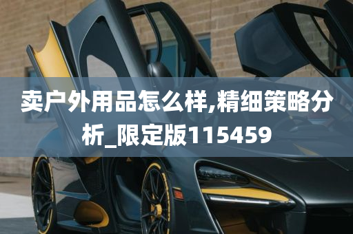 卖户外用品怎么样,精细策略分析_限定版115459