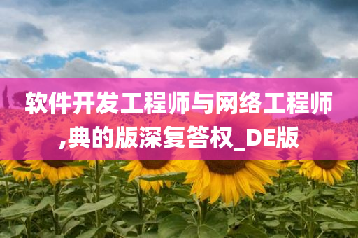 软件开发工程师与网络工程师,典的版深复答权_DE版