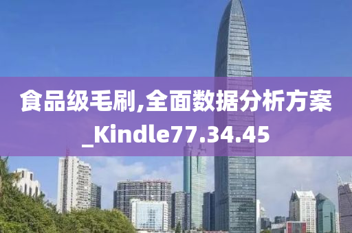 食品级毛刷,全面数据分析方案_Kindle77.34.45