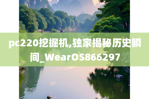 pc220挖掘机,独家揭秘历史瞬间_WearOS866297