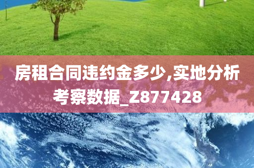 房租合同违约金多少,实地分析考察数据_Z877428