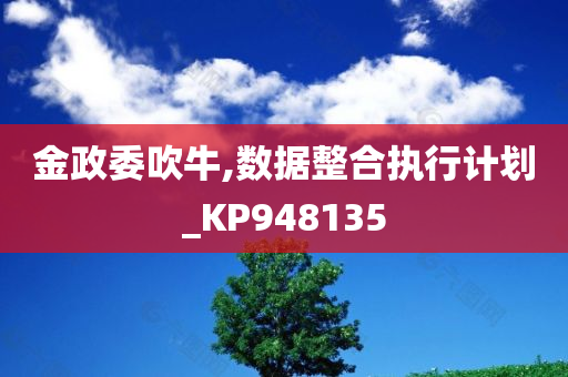 金政委吹牛,数据整合执行计划_KP948135