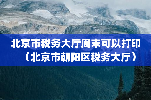 北京市税务大厅周末可以打印（北京市朝阳区税务大厅）