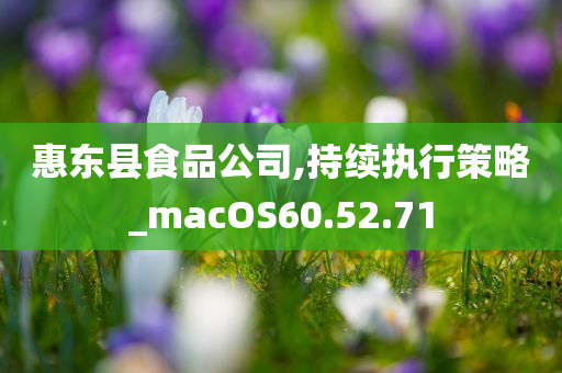 惠东县食品公司,持续执行策略_macOS60.52.71