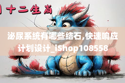 泌尿系统有哪些结石,快速响应计划设计_iShop108558