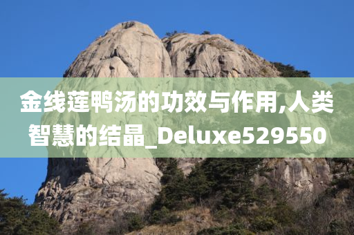 金线莲鸭汤的功效与作用,人类智慧的结晶_Deluxe529550