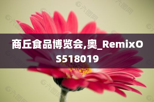 商丘食品博览会,奥_RemixOS518019