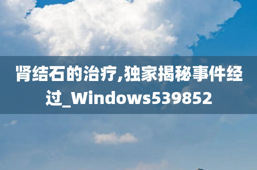 肾结石的治疗,独家揭秘事件经过_Windows539852