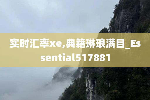 实时汇率xe,典籍琳琅满目_Essential517881