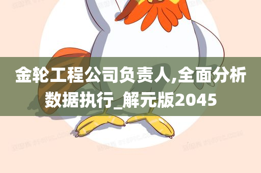 金轮工程公司负责人,全面分析数据执行_解元版2045