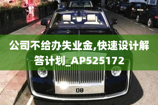 公司不给办失业金,快速设计解答计划_AP525172