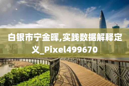 白银市宁金晖,实践数据解释定义_Pixel499670