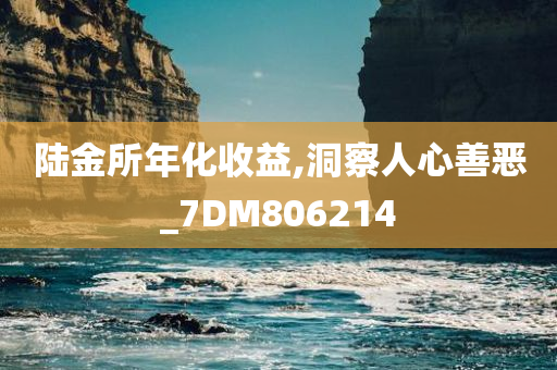 陆金所年化收益,洞察人心善恶_7DM806214