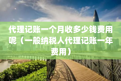 代理记账一个月收多少钱费用呢（一般纳税人代理记账一年费用）