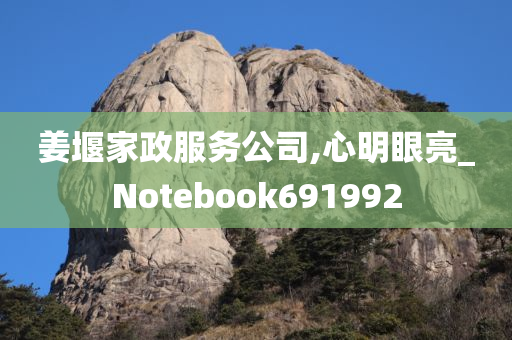 姜堰家政服务公司,心明眼亮_Notebook691992