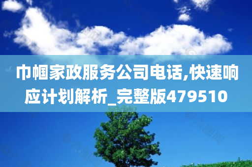 巾帼家政服务公司电话,快速响应计划解析_完整版479510